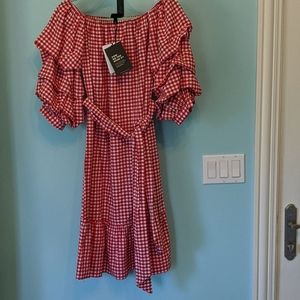 Who what wear red gingham dress